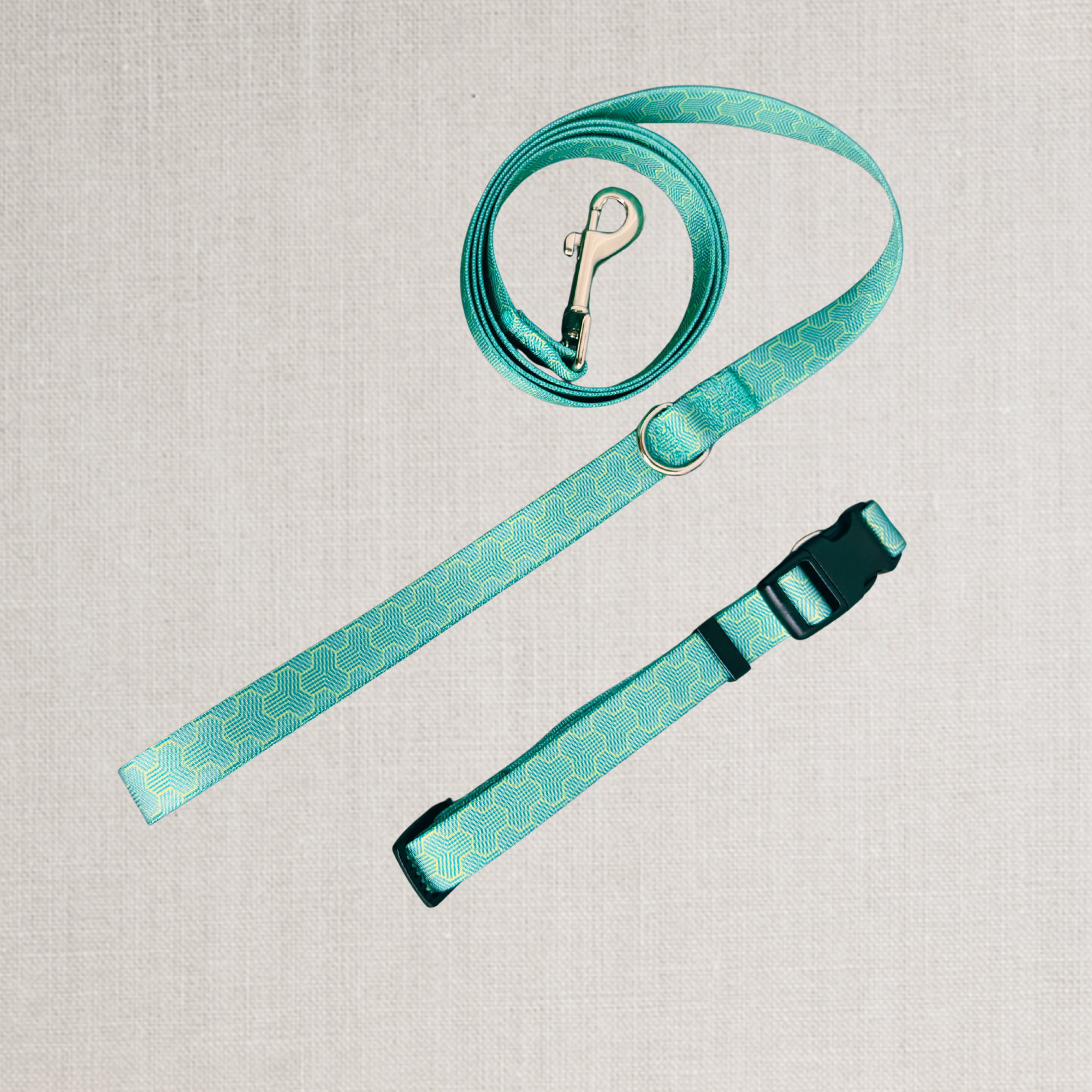 The Anchor Leash
