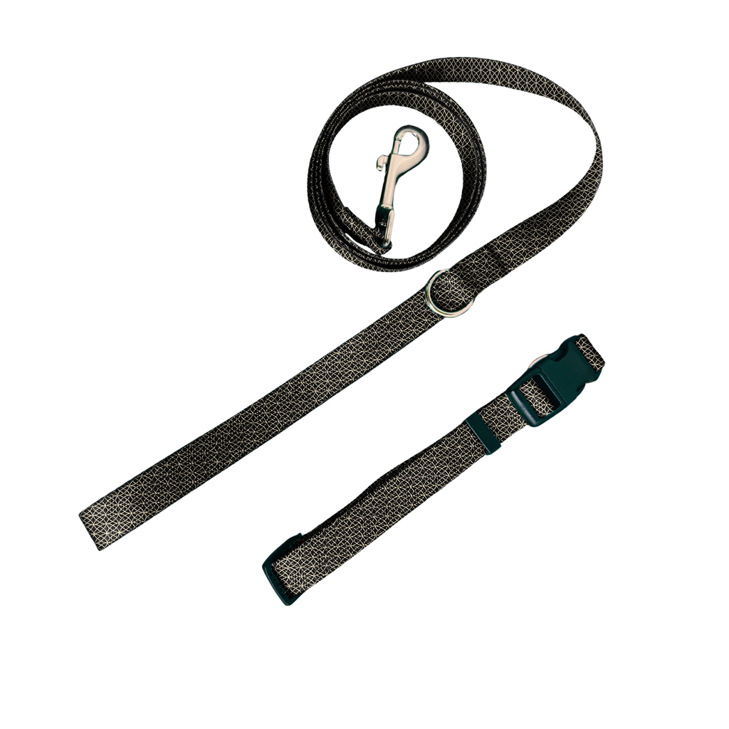 A woven dog leash with a silver metal clasp and a matching adjustable strap with a dark green plastic buckle, shown on a plain white background.