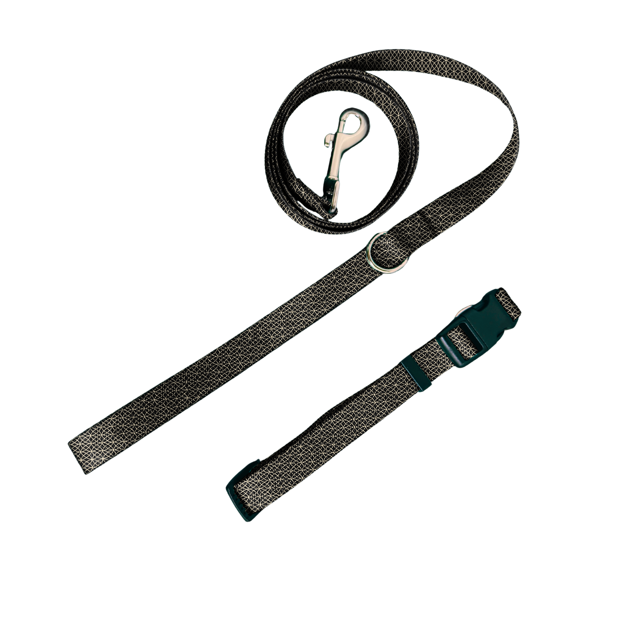 A woven dog leash with a silver metal clasp and a matching adjustable strap with a dark green plastic buckle, shown on a plain white background.