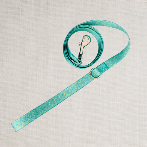 The Anchor Leash