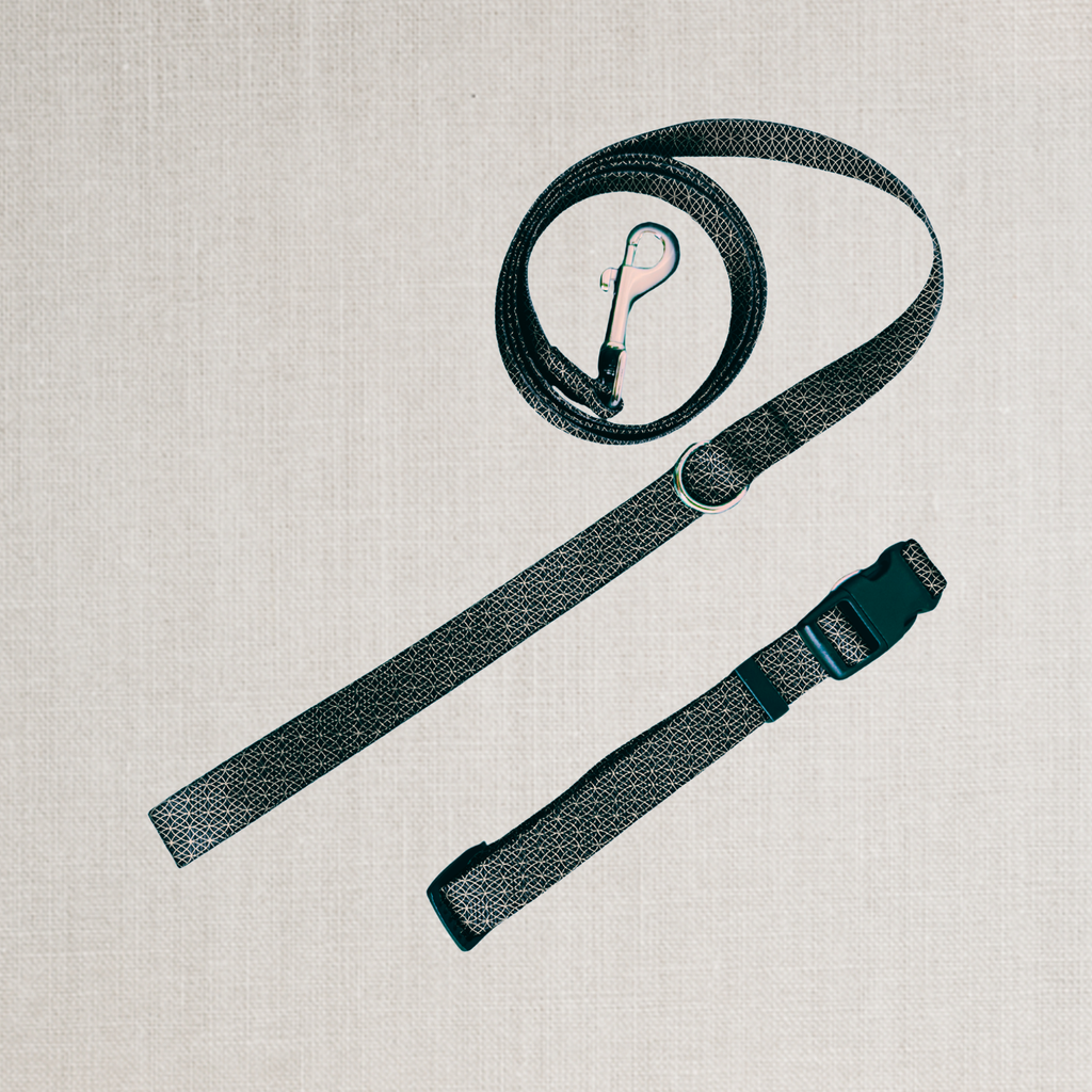 The Midnight Leash