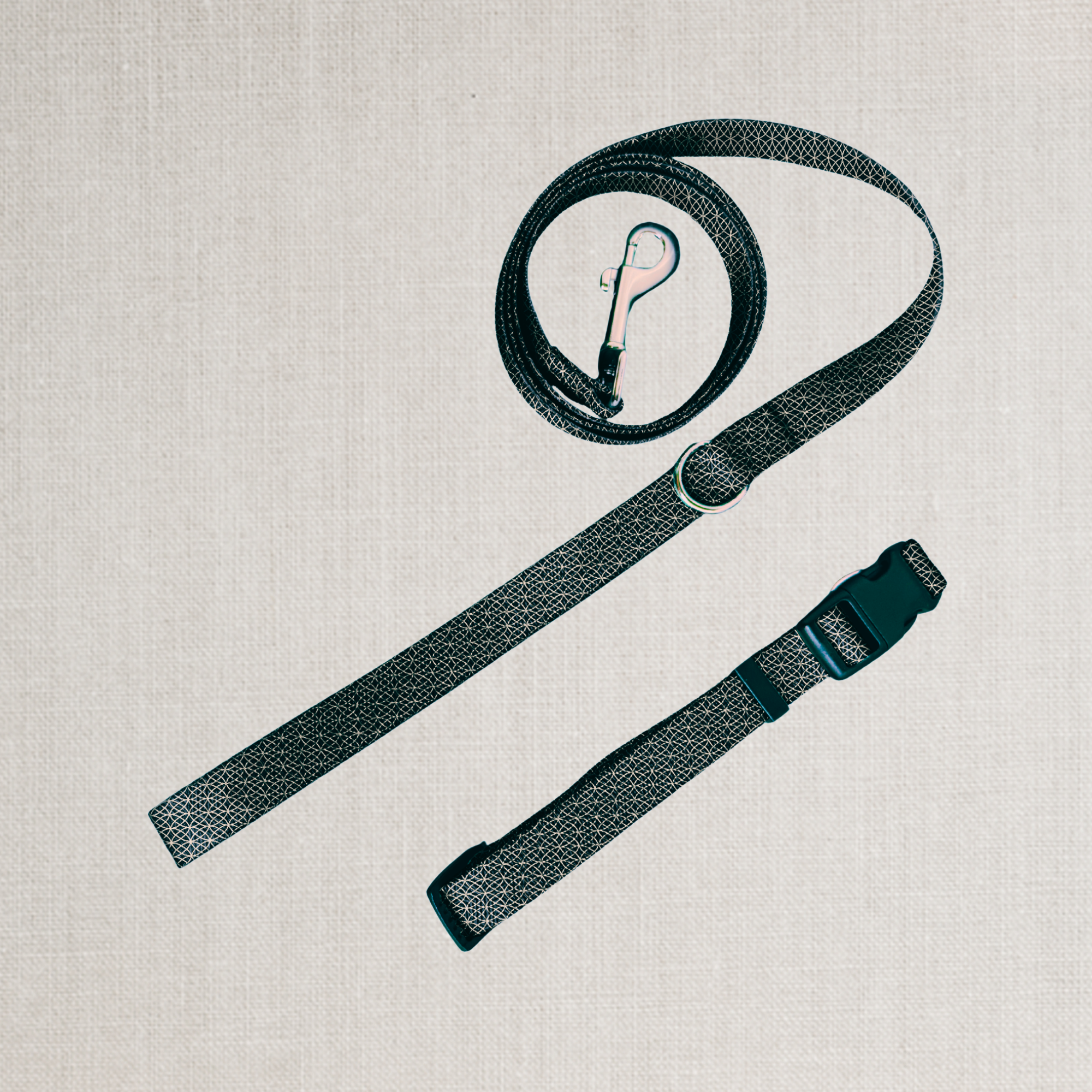 The Midnight Leash