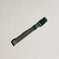A black and gold design on dog collar
