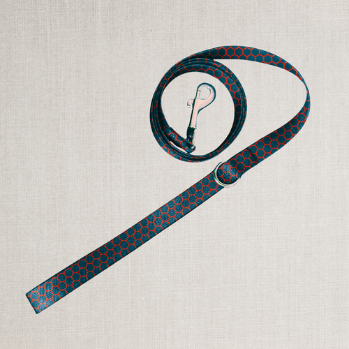 The Dusk Leash