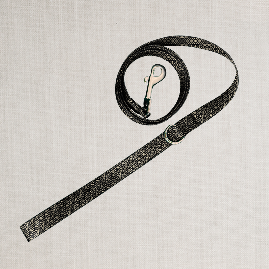 The Midnight Leash