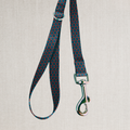 The Dusk Leash