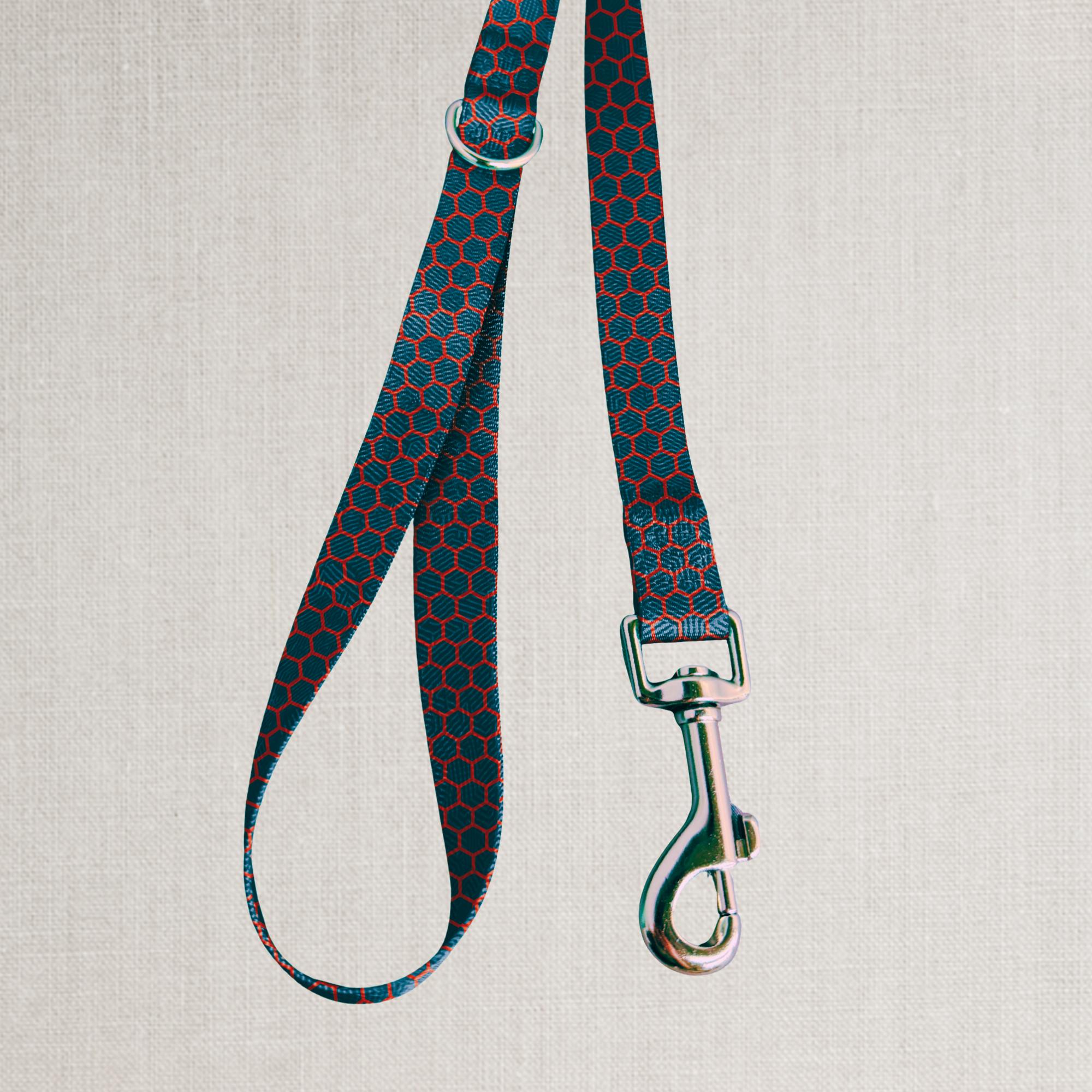 The Dusk Leash