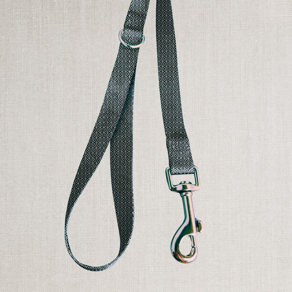 The Midnight Leash