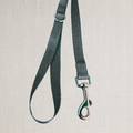 The Midnight Leash