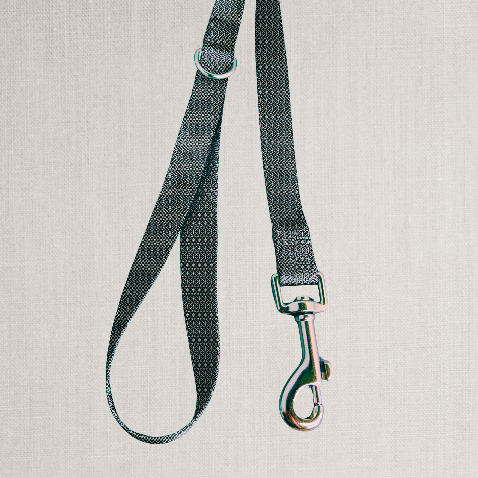The Midnight Leash